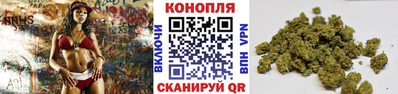 Как найти наркотики Ковылкино СК  Меф  Бошки Шишки  Cocaine 