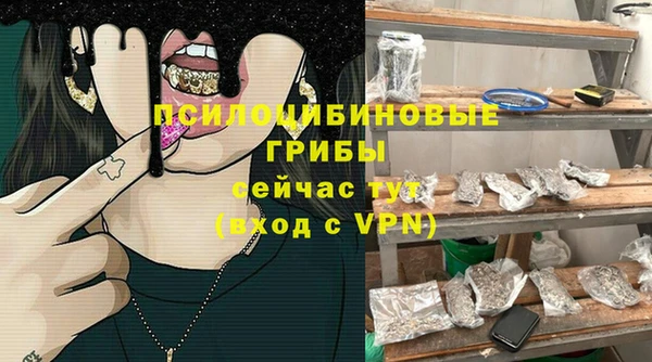 сатива Алзамай
