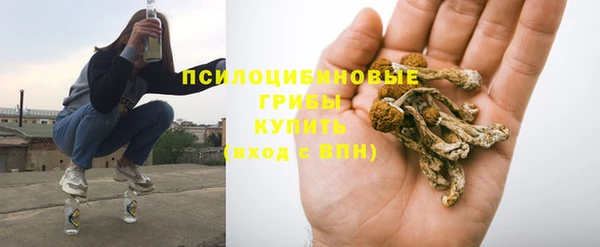 мескалин Алексеевка