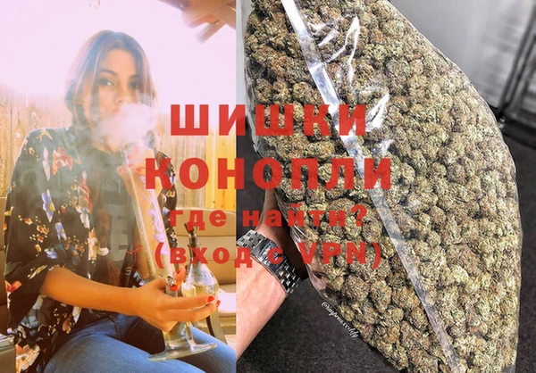 сатива Алзамай